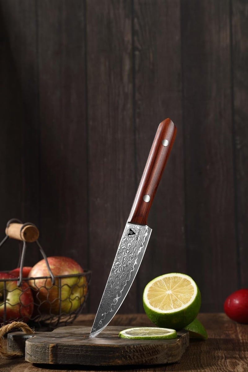 ARTIDGE 4.7" Paring Knife Damascus Steel Fruit Knives - 67-Layer Forged Kitchen Peeling Knife with Natural Solid Wood Handle Kitchen Utility Knives, 15° Double-Edged Blade, Ultra-Sharp & Durable - Image 2